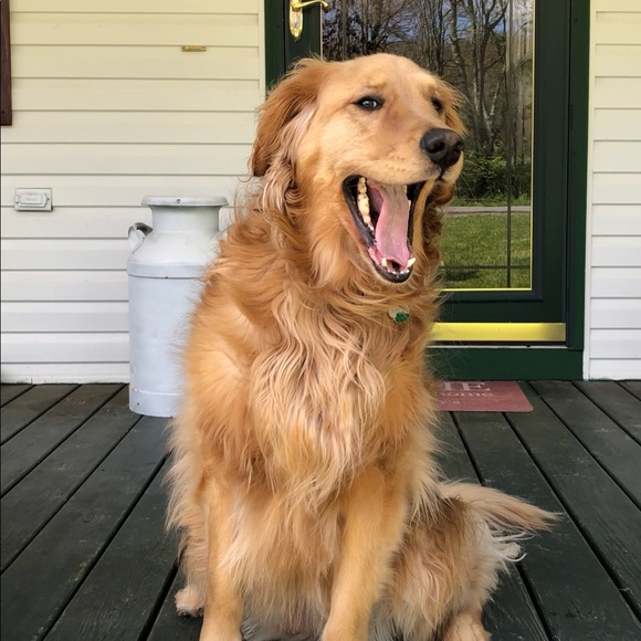 Meet your Posher, Megan - Picture 3 of 5